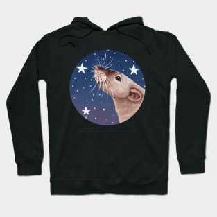 Siamese Rat Stargazing Hoodie